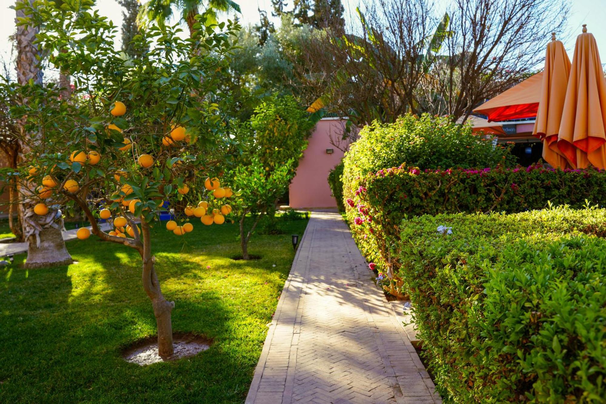Riad Redwan Douar Caïd Layadi Esterno foto